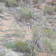 Illustration for article titled Arkaroola, An Ancient Wilderness